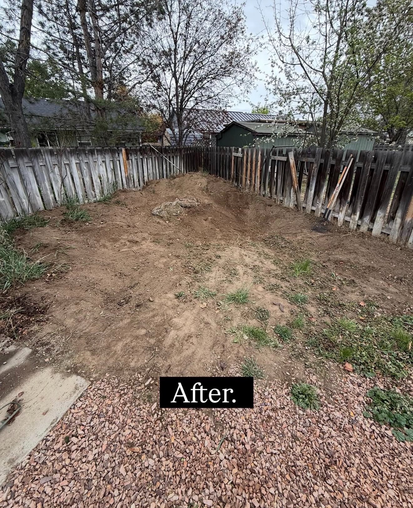 Backyard after cleanup