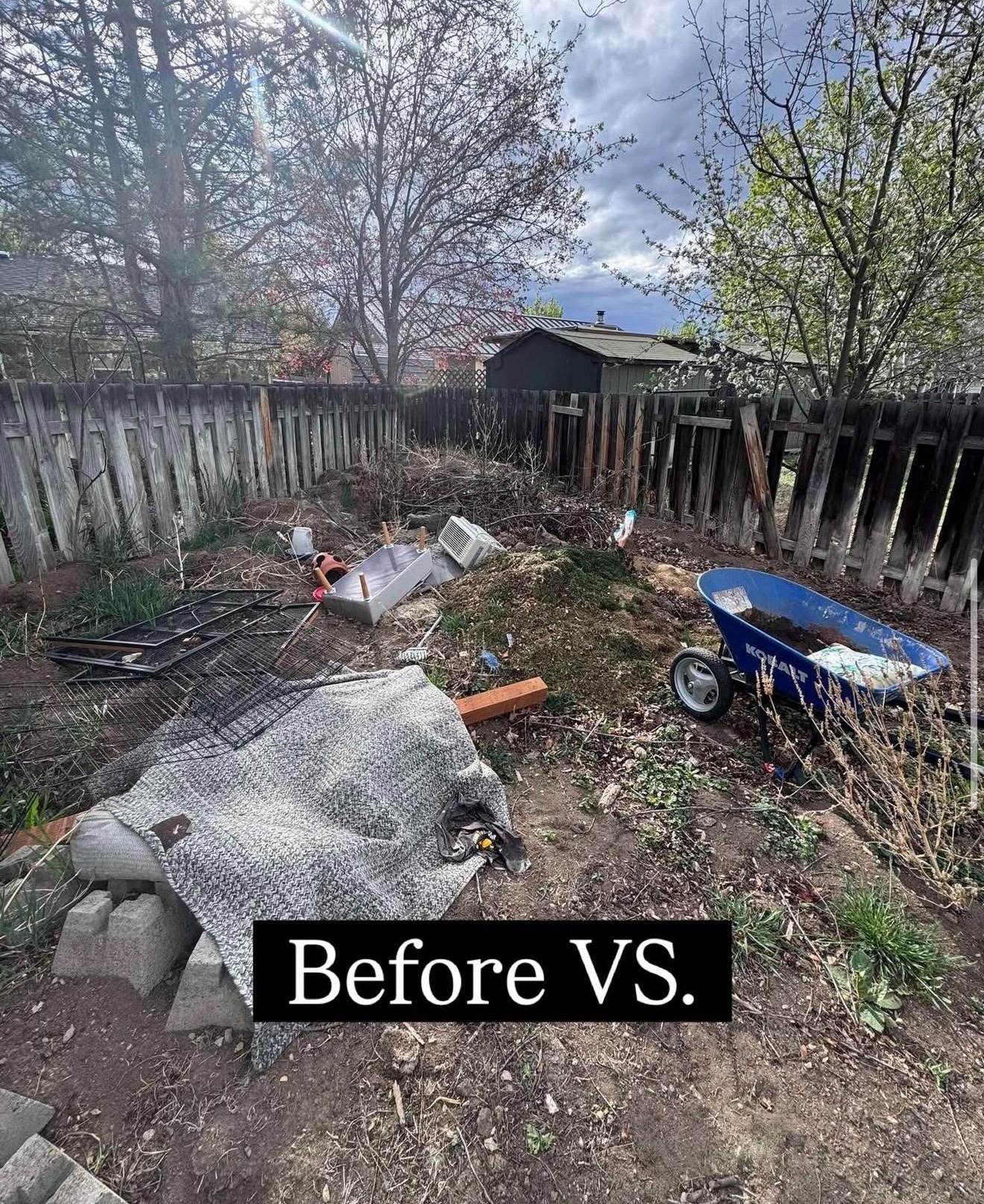Backyard before cleanup